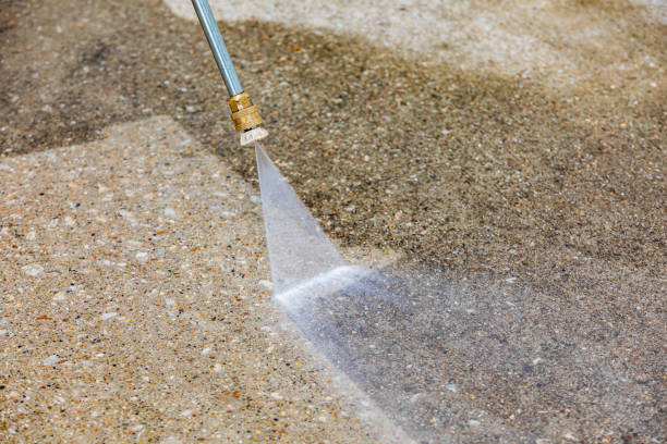 Best Driveway Pressure Washing  in Brundidge, AL