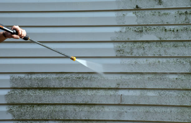 Best Gutter Cleaning  in Brundidge, AL