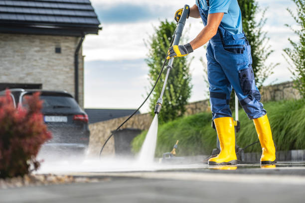 Best Animal Enclosure Cleaning  in Brundidge, AL