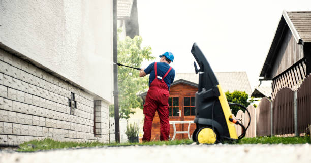 Best Roof Washing  in Brundidge, AL